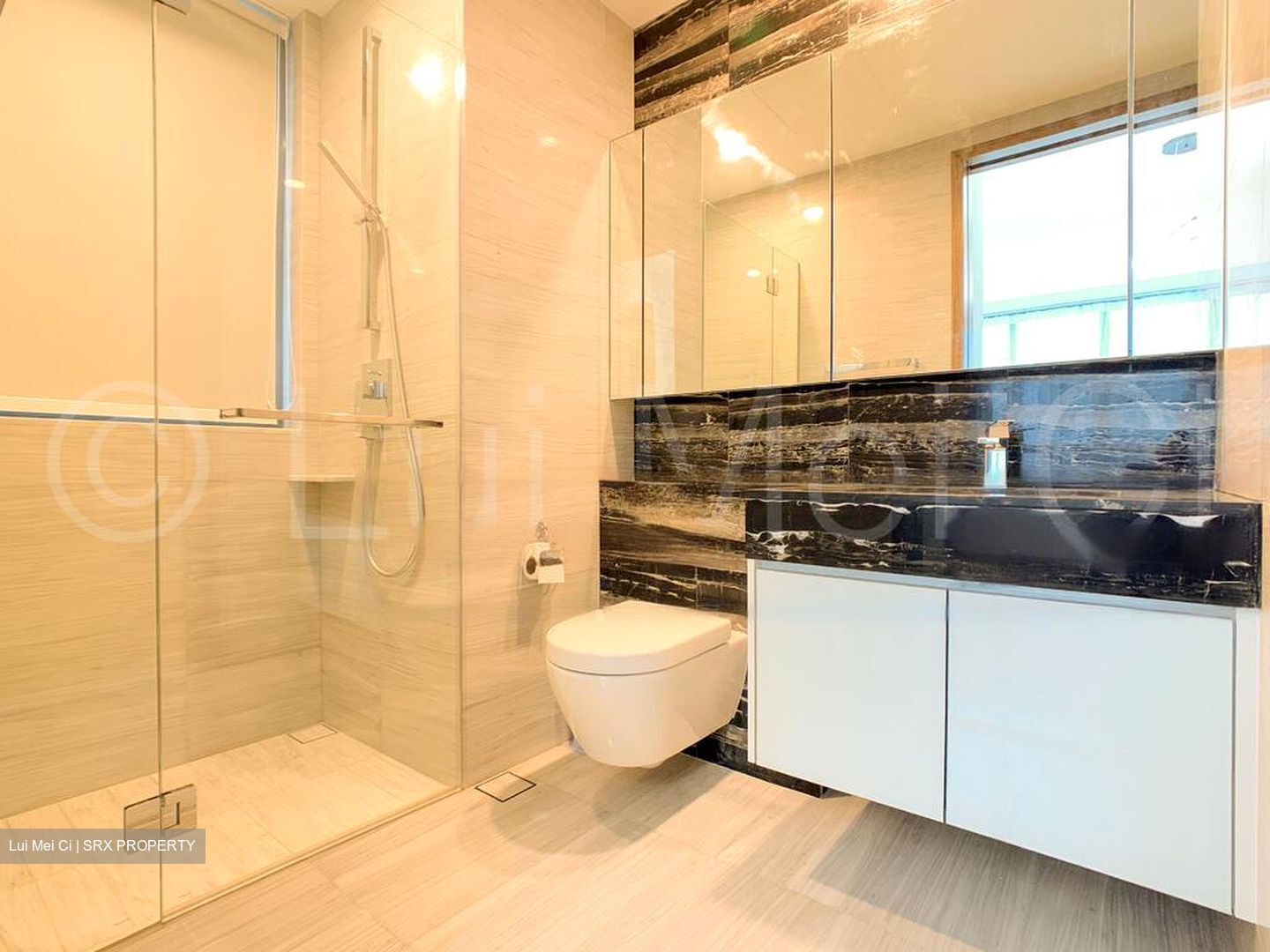 8 Saint Thomas (D9), Condominium #424971011